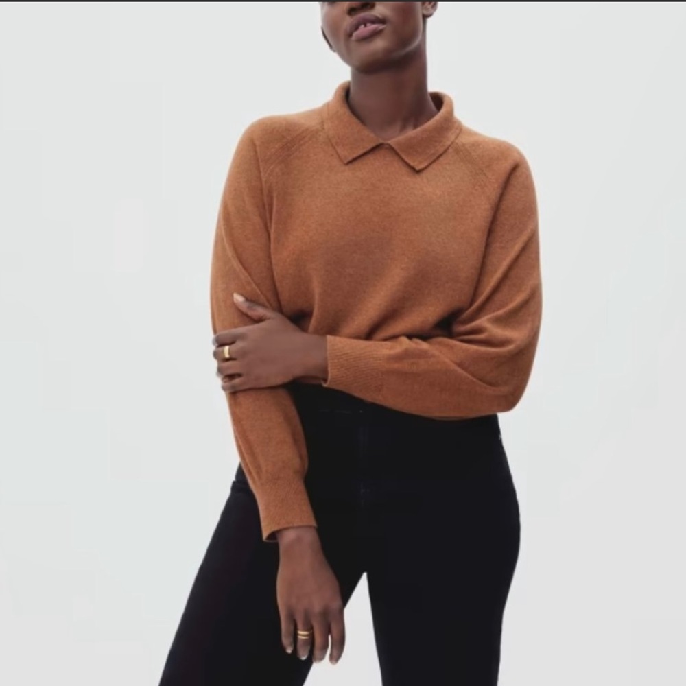 Everlane The Cashmere Collared Sweater size S